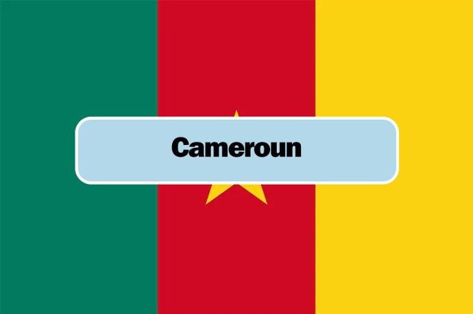 Cameroun flag