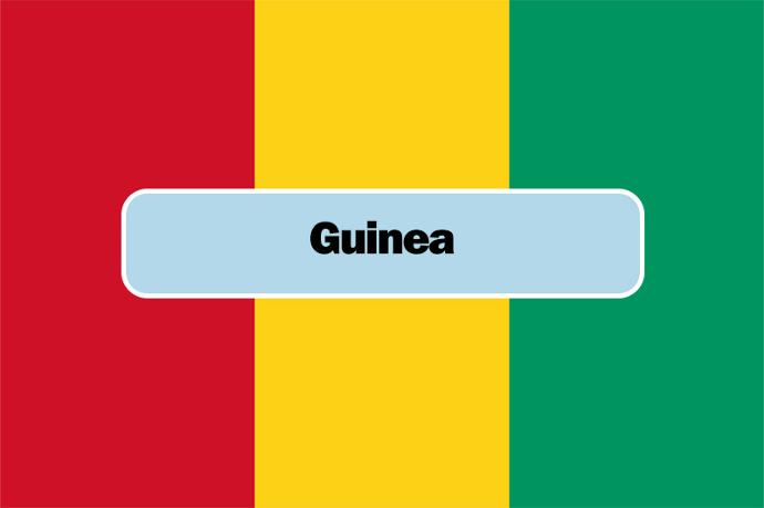 Guinea flag