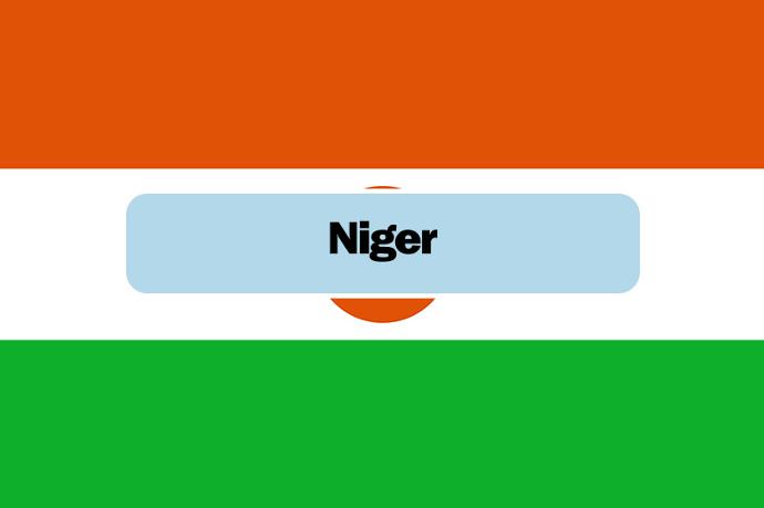 Niger flag