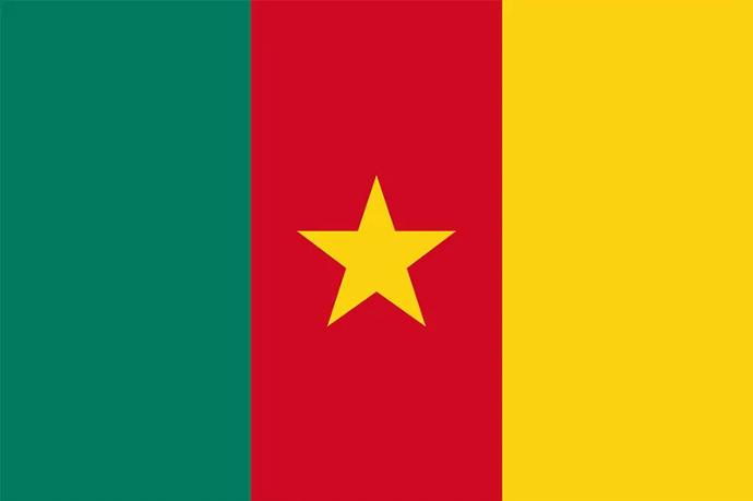 Cameroon flag