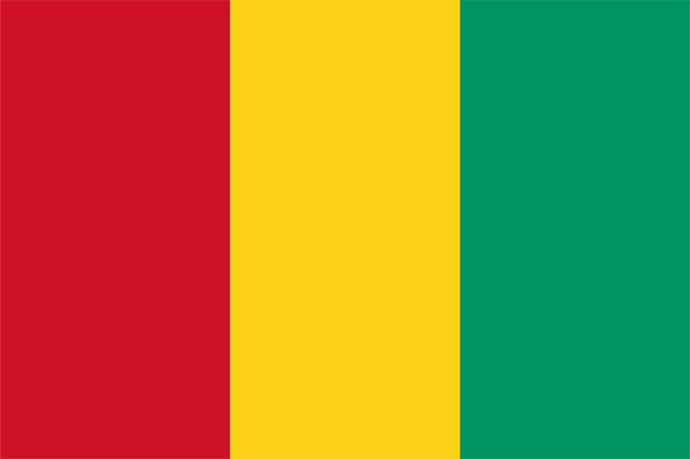 Guinea flag