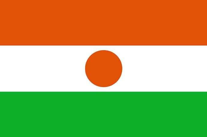 Niger flag